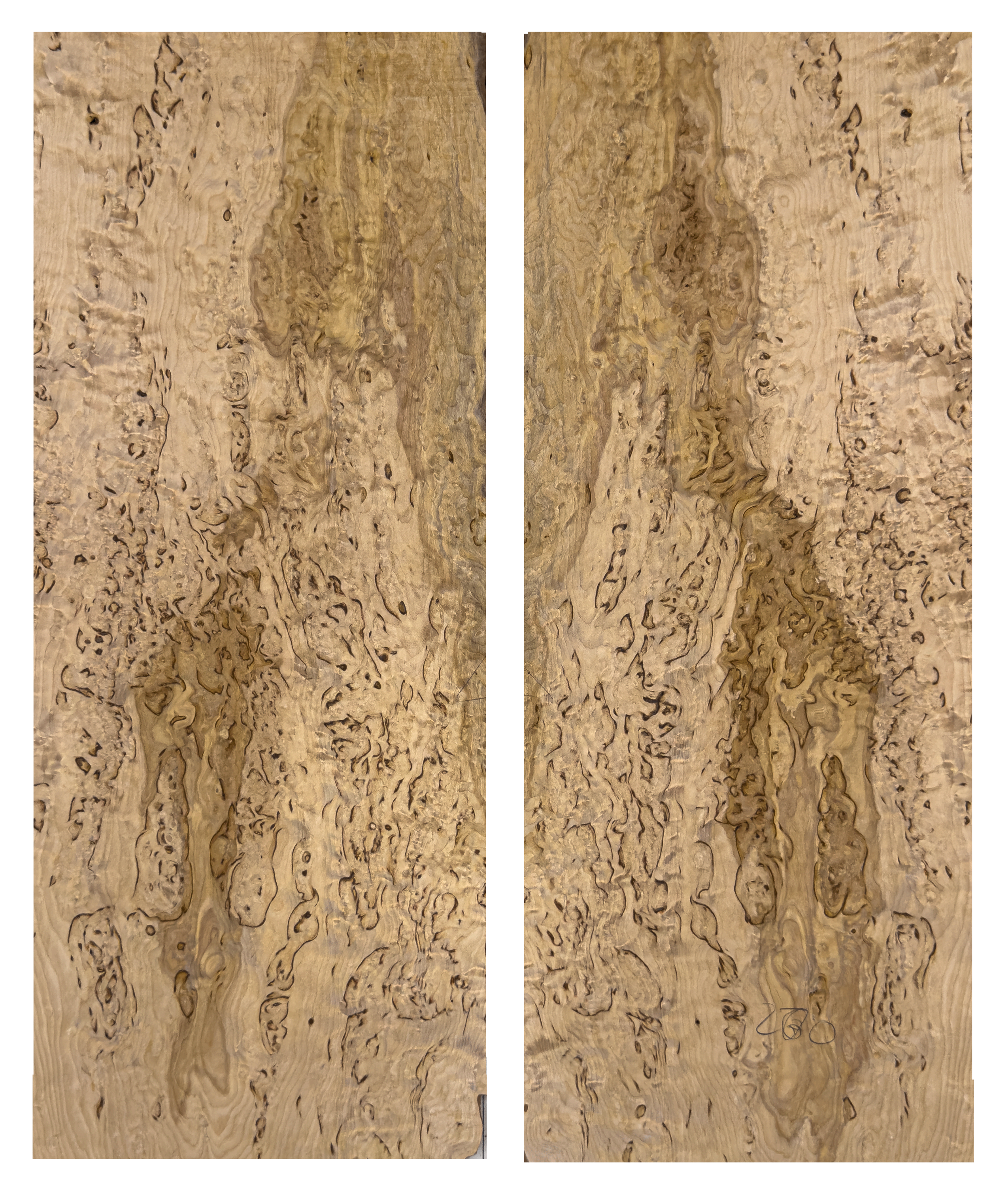 figured birch
